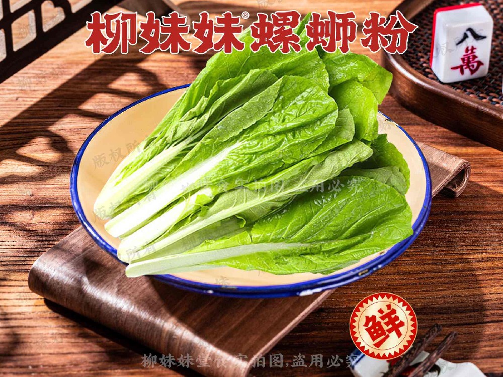 毛白菜
